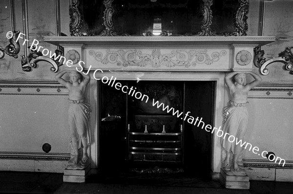 BALLYFIN HOUSE FIREPLACE IN BALLROOM